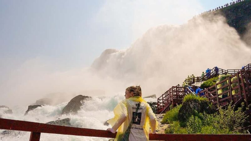 Niagara Falls: USA and Canada Tour with Boat Cruise + Lunch - Terrapin Point and the Power of Horseshoe Falls
