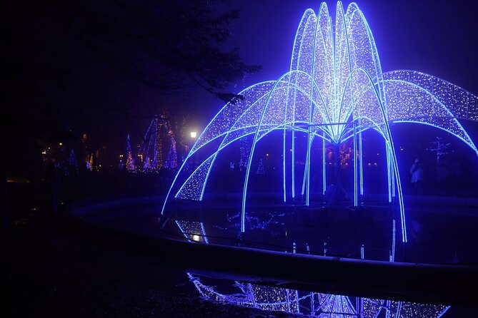 Niagara Falls USA/Canada Winter Wonderland Adventure tour - Key Points