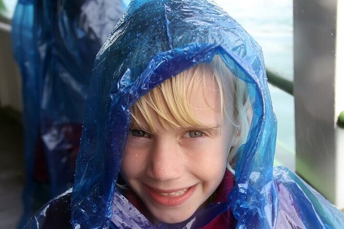 Niagara Falls USA Walking Tour with Cave and Maid of the Mist - Descending Into Cave of the Winds