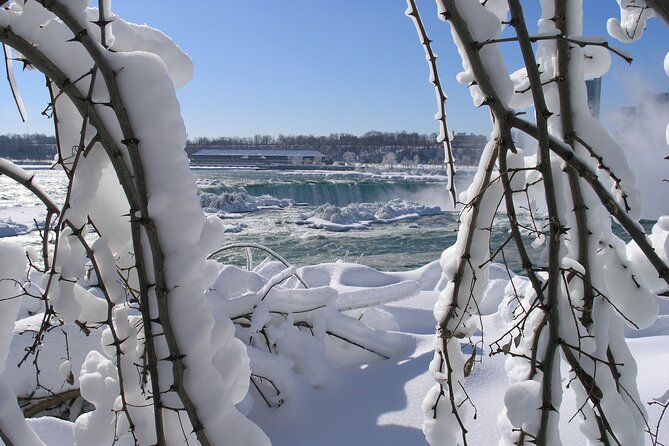 Niagara Falls Winter Wonderland USA Tour (small groups) - The Guide Experience and Highlights