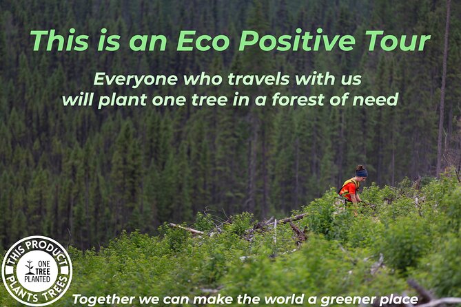 Niagara Falls with Outlet Shopping, 2-Day Tour from NYC - Niagara Falls 2-Day Tour from NYC: A Practical and Scenic Getaway