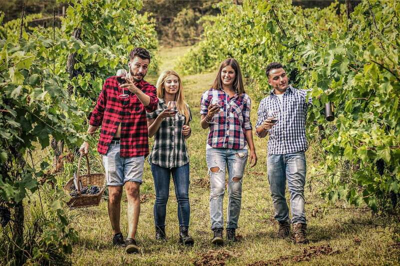 Niagara-on-the-Lake/Niagara Falls: Private Custom Day Trip - Adventure and Unique Attractions in Niagara Falls