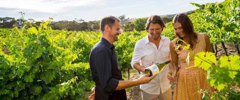 Niagara-on-the-Lake: Wine Tour with Tastings and Lunch - Picnic Lunch in Scenic Vineyard Settings