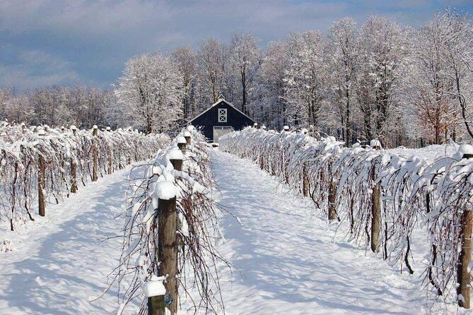 Niagara Wine Tour and Tastings with Included Transportation - Tour Guide and Customer Service