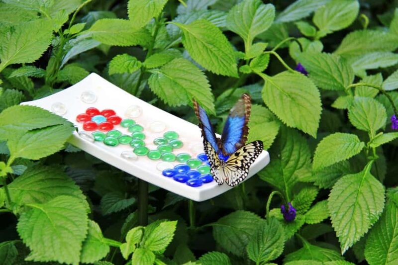 Niagara Winter Wonderland w/ 4 Attractions & Syrup Taste - Panoramic Views from Skylon Tower