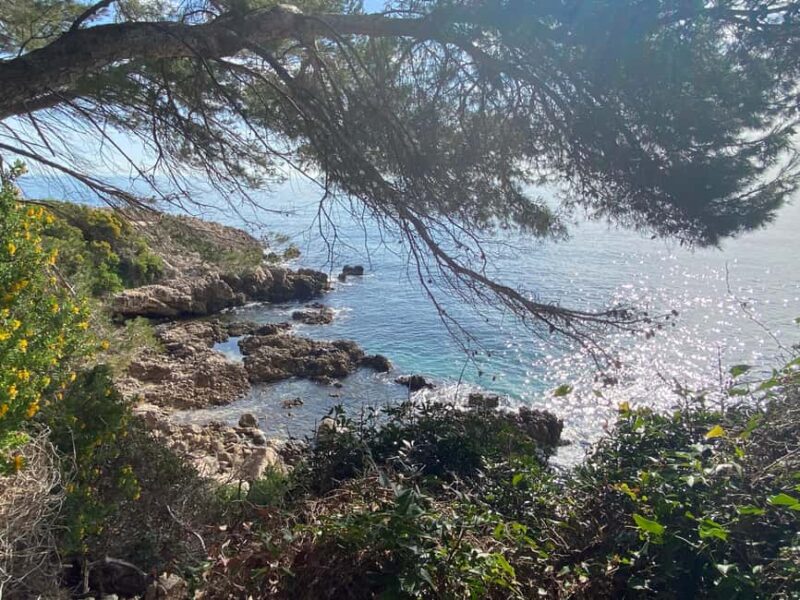 Nice: A Day in the Countryside from Glamour to Authenticity - The Tours Pacing and Highlights