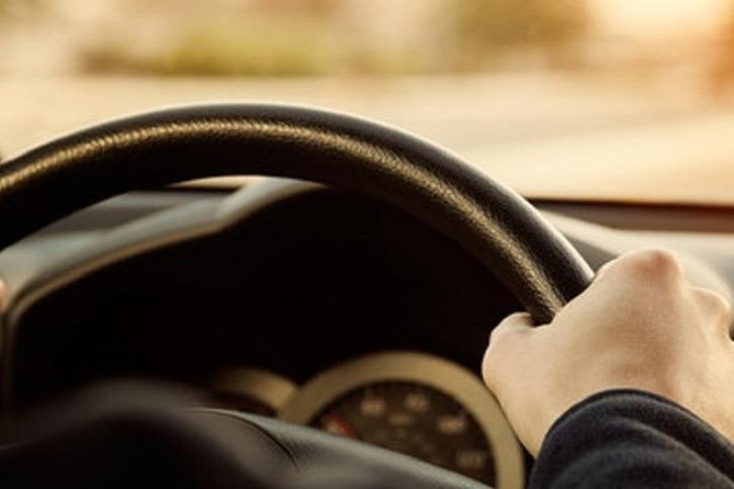 Nice Arrival Transfer: Airport to Monaco Cruise Port - Flexibility and Cancellation Policy