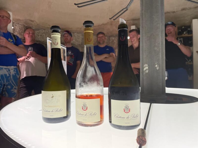 Nice: Bellet Vineyards E-Bike Tour with Wine Tasting - Learning About Local Winemaking From an Expert