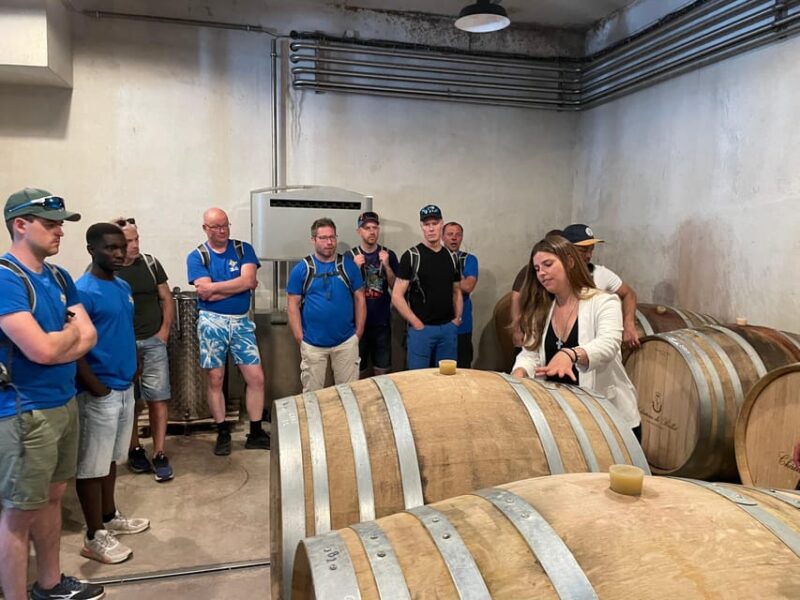 Nice: Bellet Vineyards E-Bike Tour with Wine Tasting - The Tour’s Focus on Education and Wine Culture