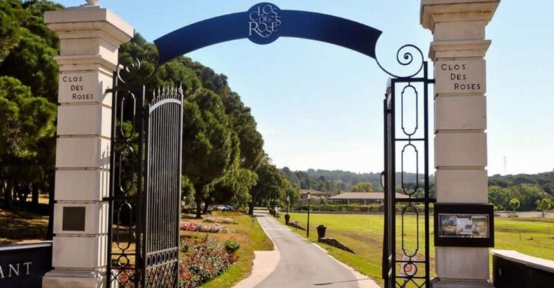 Nice: Clos des Roses wine tasting and lunch - Convenient Pickup Options in the South of France