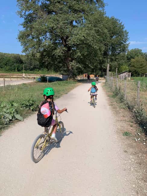 Nice: Discovery tree climbing for children in a natural setting - The Blue "Aléhop" Course: Perfect for Younger or Beginner Children