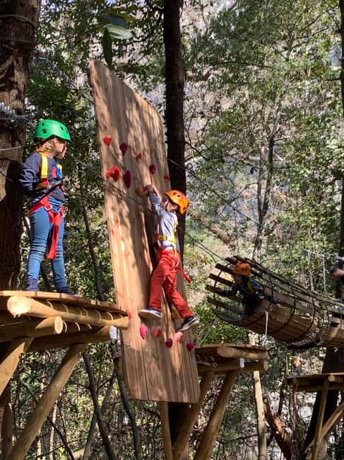 Nice: Discovery tree climbing for children in a natural setting - Accessibility and Physical Requirements for Participants
