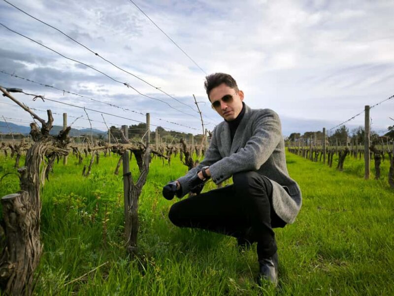 Nice: Full Day Trip Private Wine Tour (Cremat and more) - Tasting the Bellet Wines in a Contemporary Setting