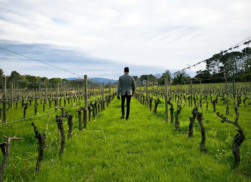 Nice: Full Day Trip Private Wine Tour (Cremat and more) - Scenic Drive Along the Promenade des Anglais