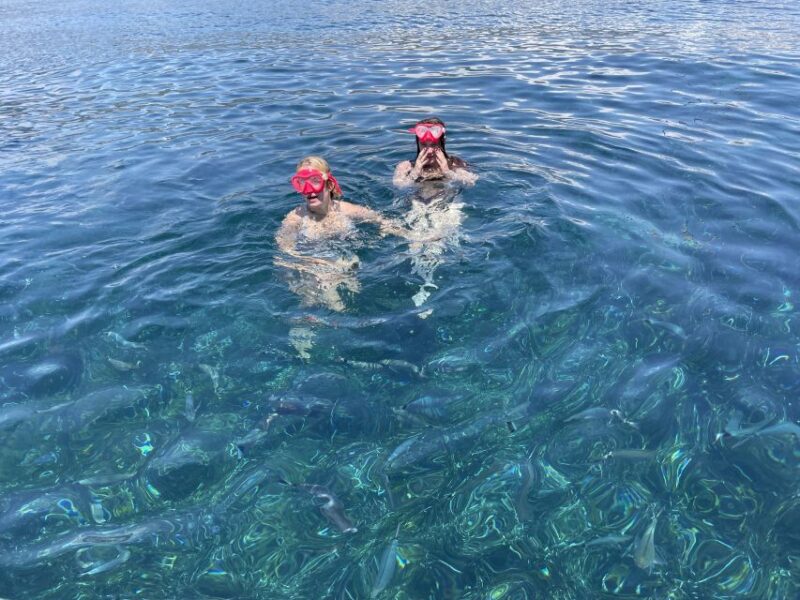 Nice: Monaco & Mala Caves Boat Trip with Snorkeling - Stops at Saint-Jean-Cap-Ferrat and Villefranche