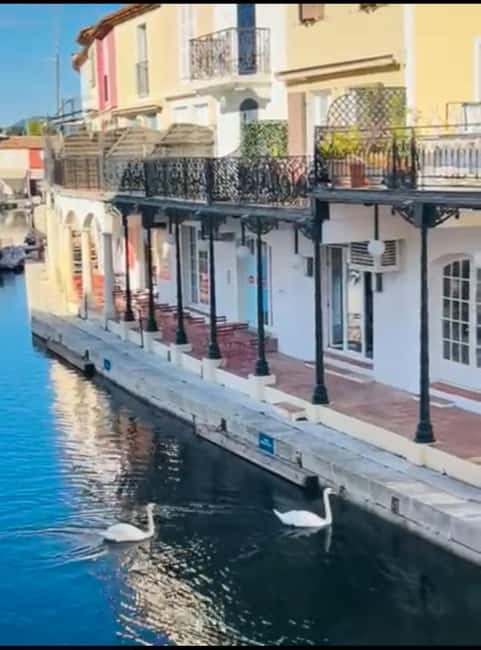 Nice: Saint-Tropez and Port Grimaud Emotional Freedom Tour - Scenic Boat Ride from Saint-Maxime to Saint-Tropez