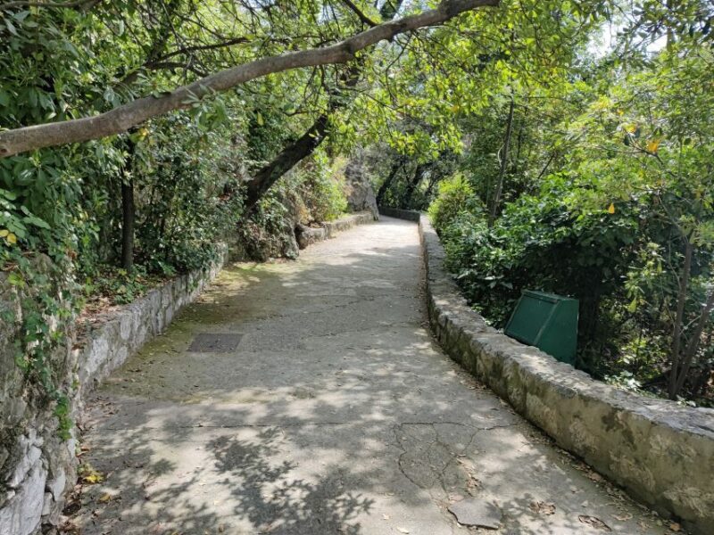 Nice: Sightseeing Walking Tour with certified tour guide - Strolling through Cours Saleya and the Cathedral of Sainte-Réparate