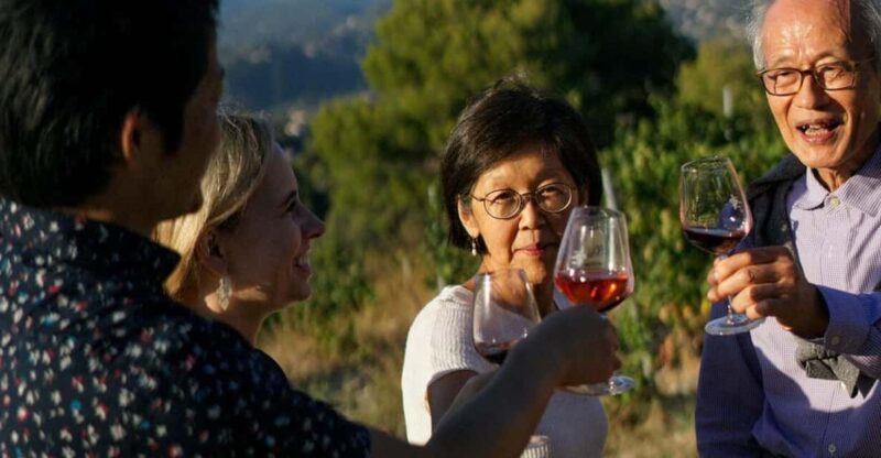 Nice: Vineyard Tour with Wine Tasting - Key Points