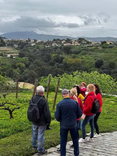 Nice : Wine Tasting in backcountry in Defender - The Tasting at Château de Crémat: Wines and Views