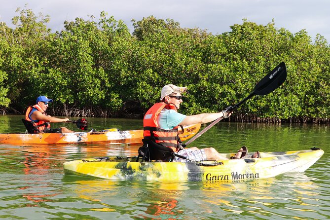 Nichupte Lagoon! Mangrove Kayaking Experience from Cancun - Considerations for Participants and Booking Policies