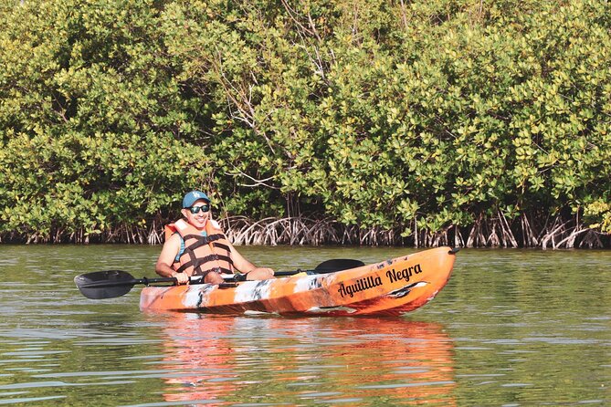 Nichupte Lagoon! Mangrove Kayaking Experience from Cancun - The Natural Beauty of Nichupte Lagoon’s Mangroves