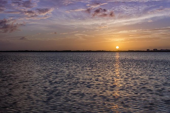 Nichupte Lagoon Wildlife Tour - The Role of the Guide in This Eco-Adventure