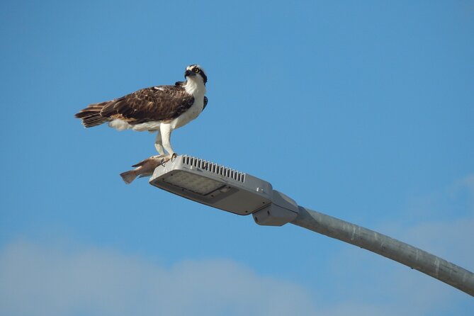 Nichupte Lagoon Wildlife Tour - Practical Details: Booking, Cancellation, and Group Size