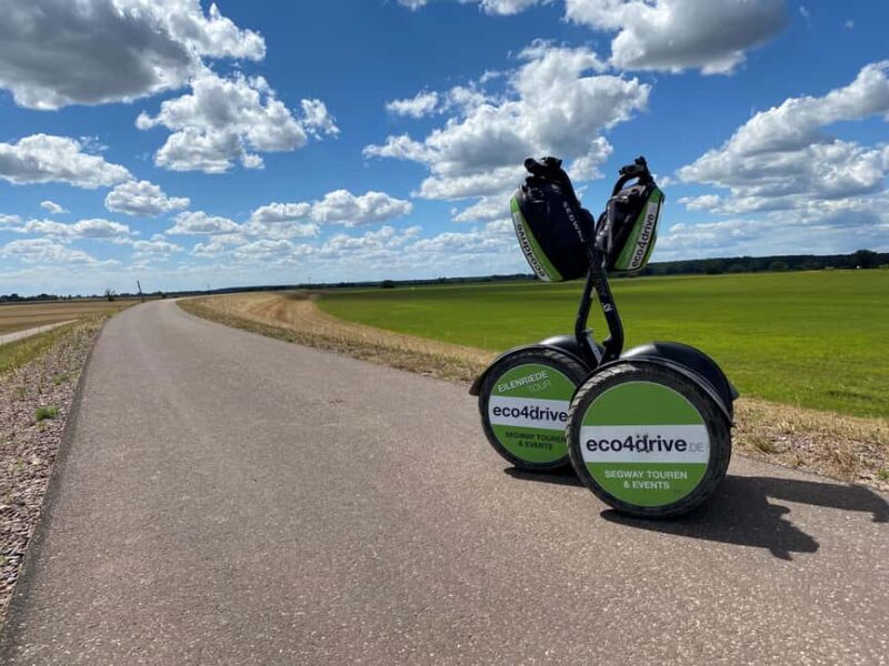 Nienburg: Private Segway fun tour Weser Bürgerpark Old Town  2.5 hours of fun - Riding Through Bürgerpark and Nature