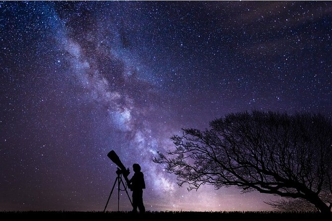 Night Sky Stargazing Tour in Punta Gorda Florida - Key Points