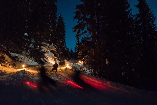 Night Sledding with Fondue - Exciting Night Sledding in the Swiss Alps with a Cozy Fondue Finish