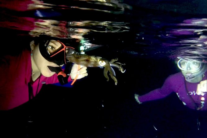 Night Snorkeling - Observation of octopus and other species - Safety and Accessibility for All Participants