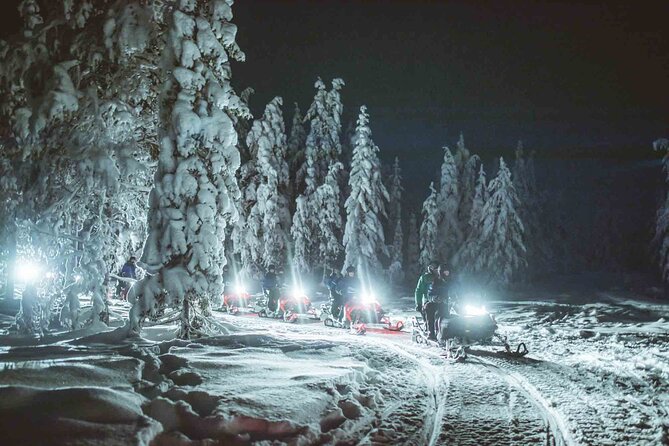 Night Snowmobile Safari, Rovaniemi - What Guides Share About the Aurora Borealis