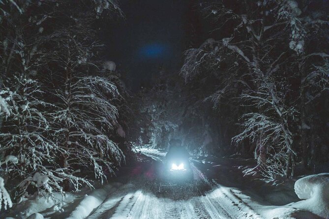 Night Snowmobile Safari, Rovaniemi - The Experience of Riding with Guides