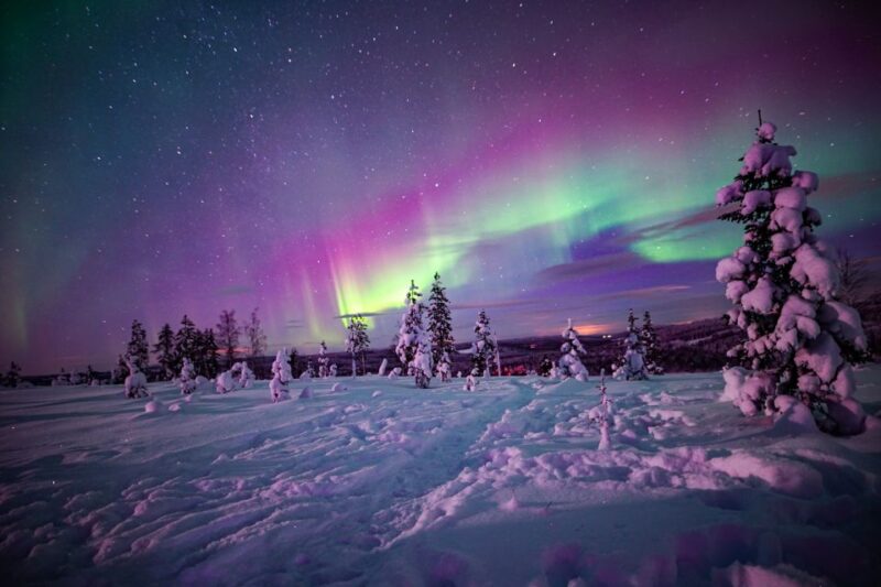 Night Snowshoeing Adventure under the Northern Lights - Cost and Booking Flexibility