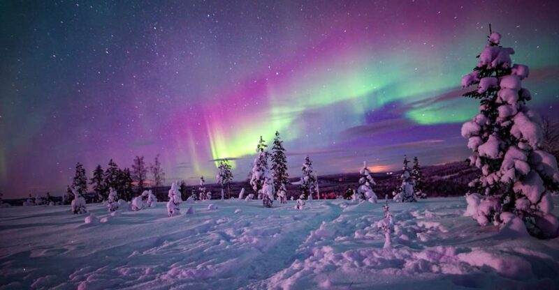 Night Snowshoeing Adventure under the Northern Lights - Who Should Consider This Tour?
