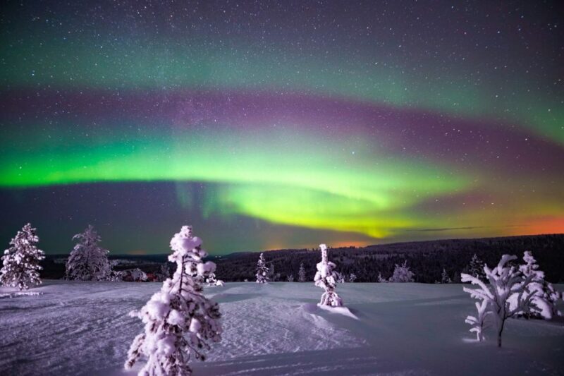 Night Snowshoeing Adventure under the Northern Lights - Frequently Asked Questions
