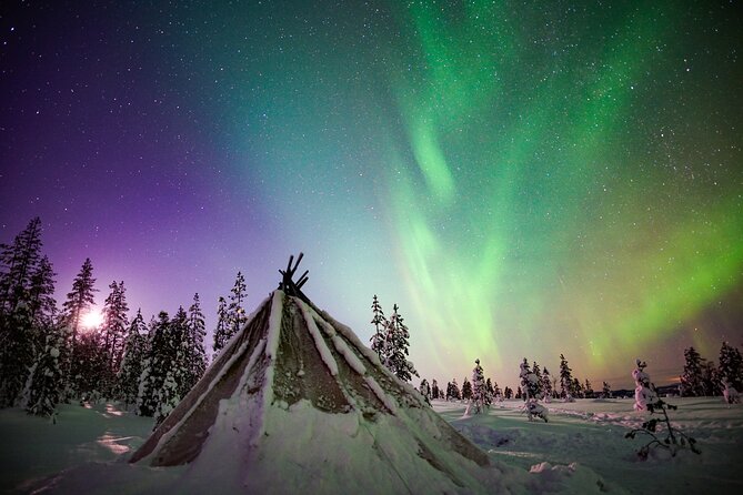 Night Snowshoeing Adventure under the Northern Lights - Why This Tour Stands Out