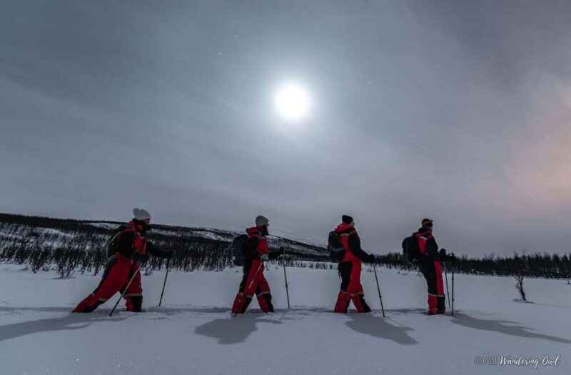 Night Star Walk on Snowshoes in the Finnish Wilderness - What Makes This Snowshoe Tour Stand Out
