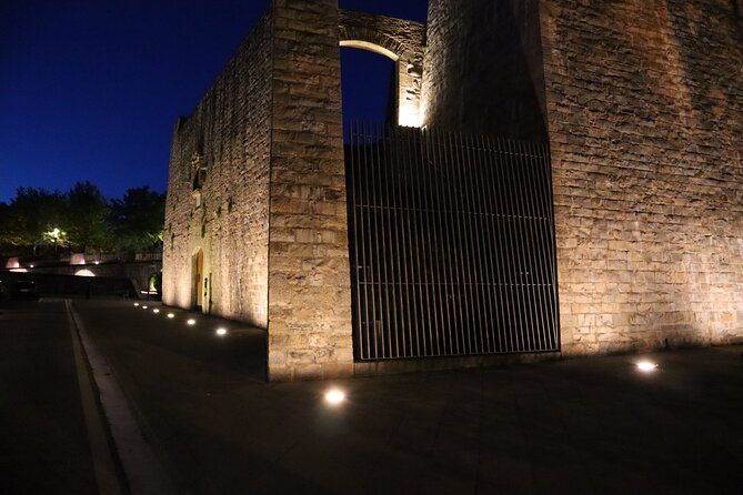 Night Tour Dark Secrets and Legends of Pamplona - Visit the Cathedral de Pamplona and the French Gate