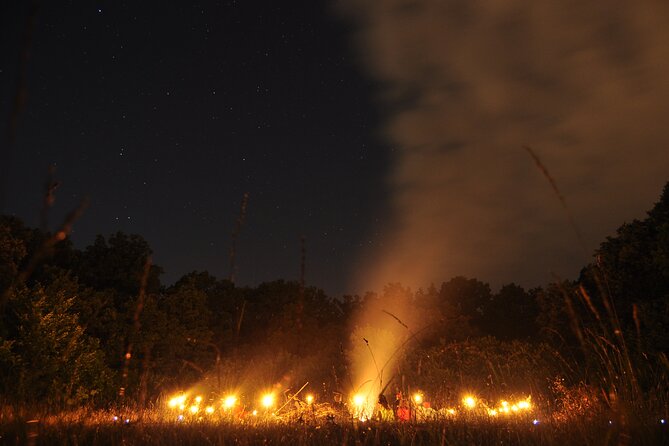 Night Tour in Hoia Baciu Forest - Exploring Hoia Baciu Forest After Dark
