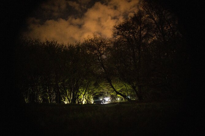 Night Tour in Hoia Baciu Forest - Who Will Love This Tour?