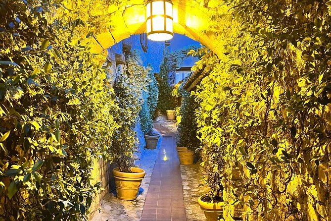 Night Tour of Eze & St Paul de Vence - Discovering Saint-Paul de Vence’s Artistic Heritage