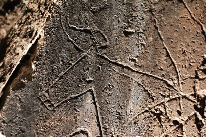 Night Visit to the Engravings of Foz Côa in 4x4 between DOURO and CÔA - Imagining Prehistoric Life Along the Riverbanks