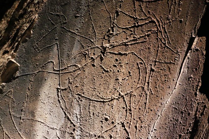 Night Visit to the Engravings of Foz Côa in 4x4 between DOURO and CÔA - Discovering the Rock Art with Artificial Lighting