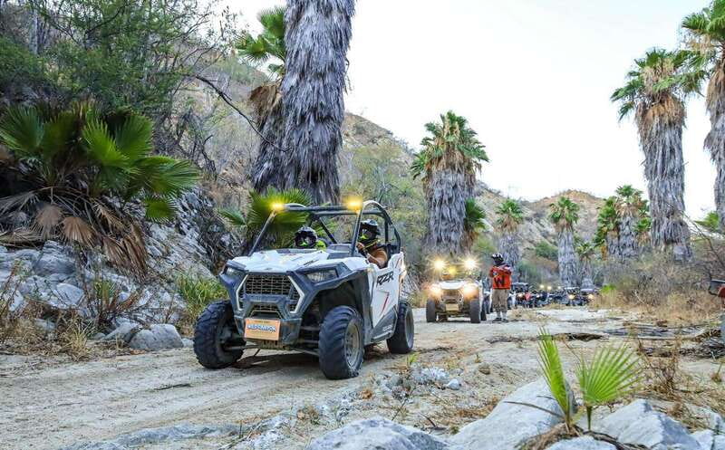 Night Ziplines & UTV Adventure & Mexican Parrillada - Tacos and Tequila on the Rooftop at Lions Den Restaurant