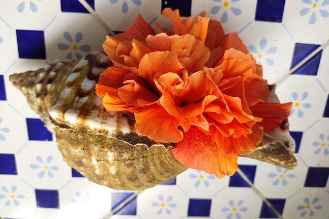 Nightly squid fishing - private tour - The Sum Up: A Unique Night Under the Stars in Lipari