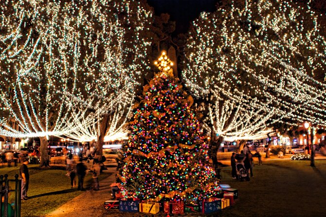 Nights of Lights Holiday Cruise Experience - Onboard Comfort and Entertainment