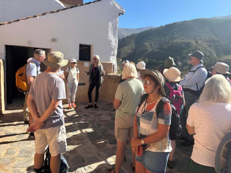 Nigüelas: Extra Virgin Olive Oil Experience & Tour - Key Points