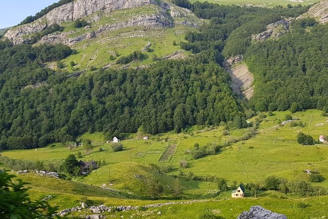 Njegusi Smokehouse, Farm to fork experience & Kotor walking tour - Tasting Local Specialties in Njegusi