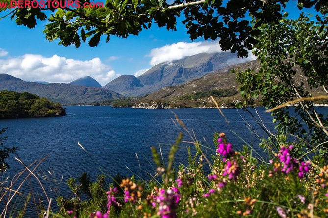 NO 1 Ring of Kerry Tour inc Killarney Lakes & National Park - Optional Stops and Tour Flexibility